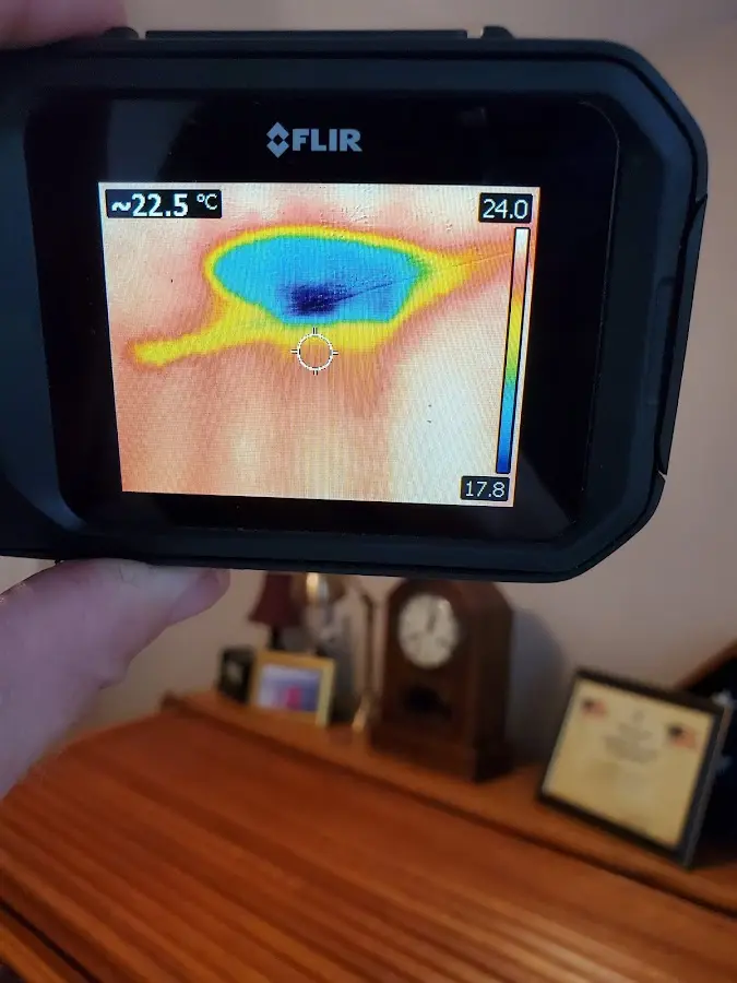 Thermal imaging inspection for water damage in Hailey