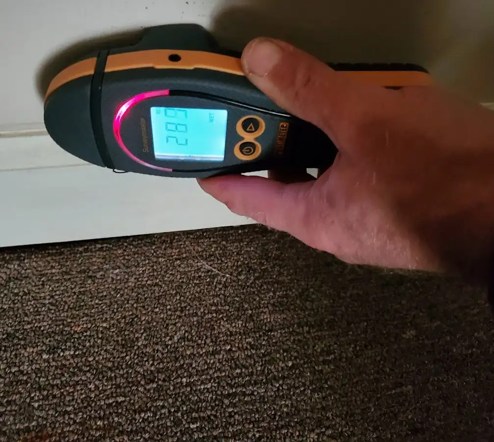 Moisture detection at baseboard during Sewage Cleanup & Sanitation in Hailey